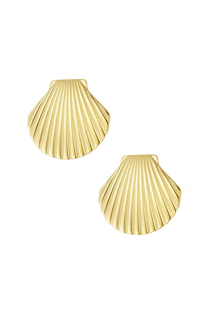 Shell statement oorbellen