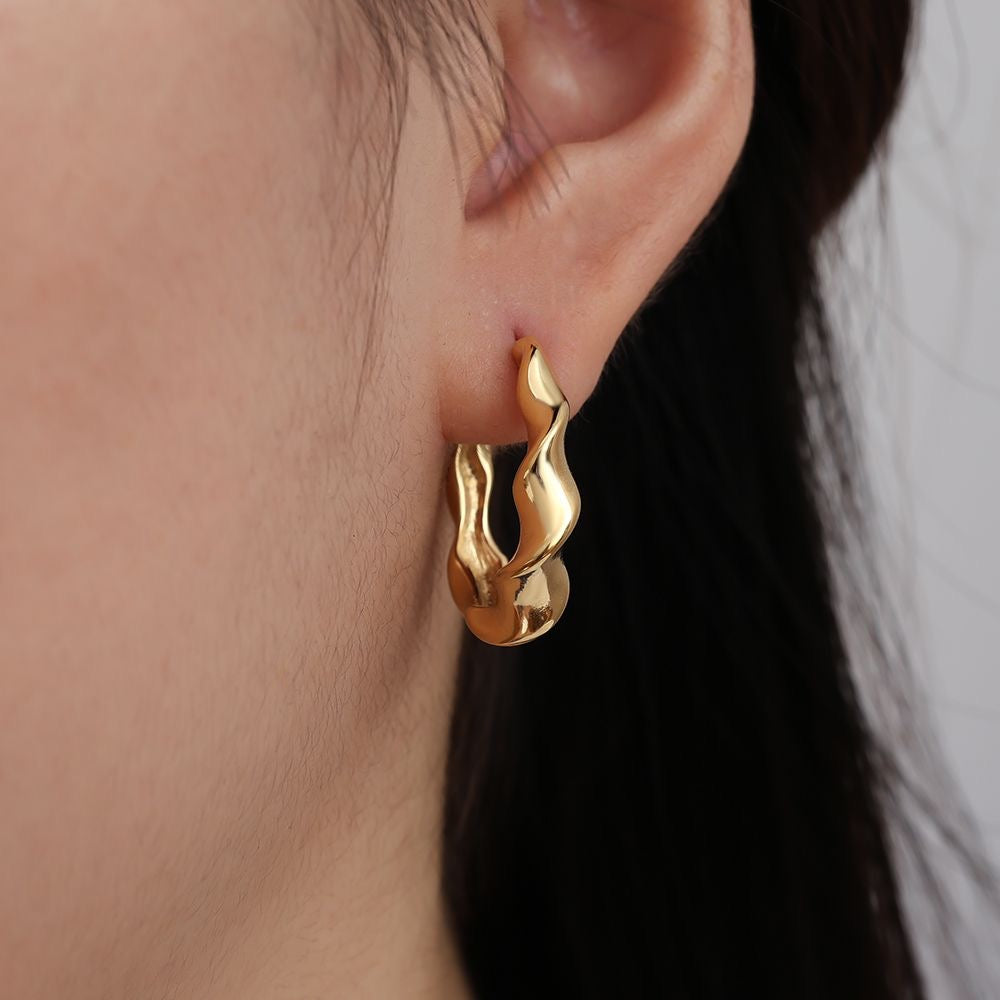 Oorbellen twist